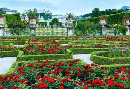 欧洲 风景 植物学 宫殿 植物 园艺 花园 花卉栽培 米拉贝尔