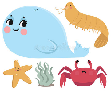 海洋动物收藏