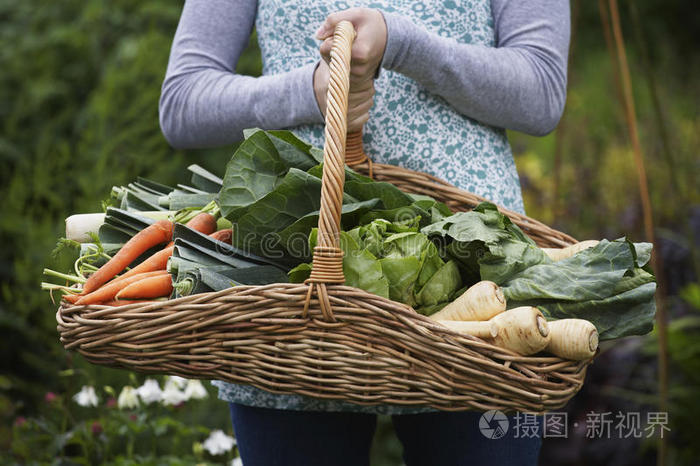 菜篮中的菜本人照片图片