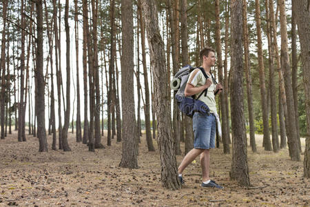 男性背包客森林徒步旅行全程