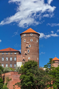 波兰克拉科夫带桑多米尔斯卡塔的瓦维尔皇家城堡景观