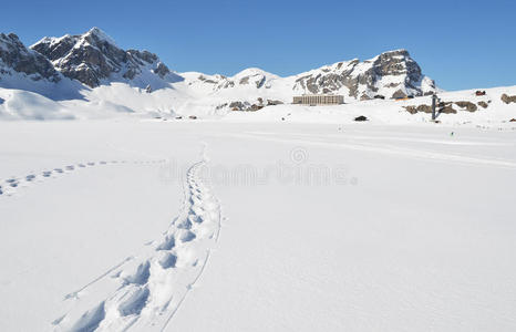 雪地上的脚步声图片