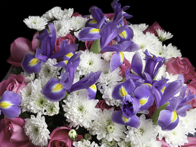 淡紫色，白色和红色的花香