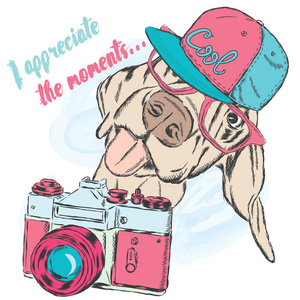 有趣的狗与一台照相机。矢量图