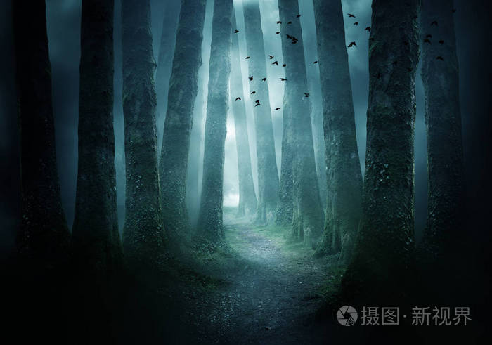 阴暗森林 《（Darkwood）》更新为黑森林带来四种新语言