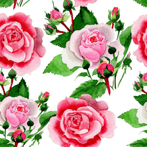水彩粉红色玫瑰花。花卉植物花。无缝的背景图案。织物墙纸打印纹理。背景质地包装图案框架或边框的水彩画野花