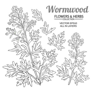 艾草图片-艾草素材-艾草插画-摄图新视界