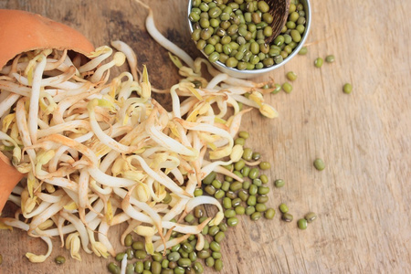 豆芽和种子照片