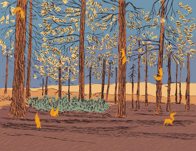 窜松树林的矢量插图周围乱窜的松鼠照片