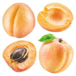 成熟的杏果实和杏片。文件包含四个 clippi