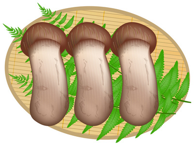 松茸蘑菇秋图标图片