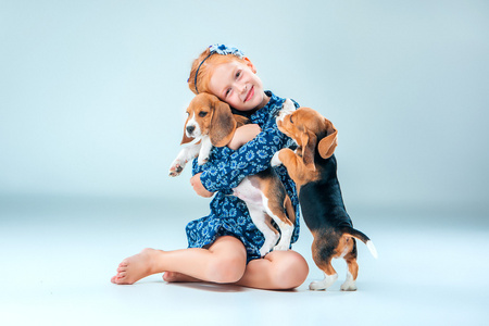 快乐的女孩，在灰色的背景上的两个小猎犬小狗