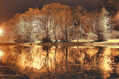 夜秋天公园风景或美丽的夜在城市公园与黄色树