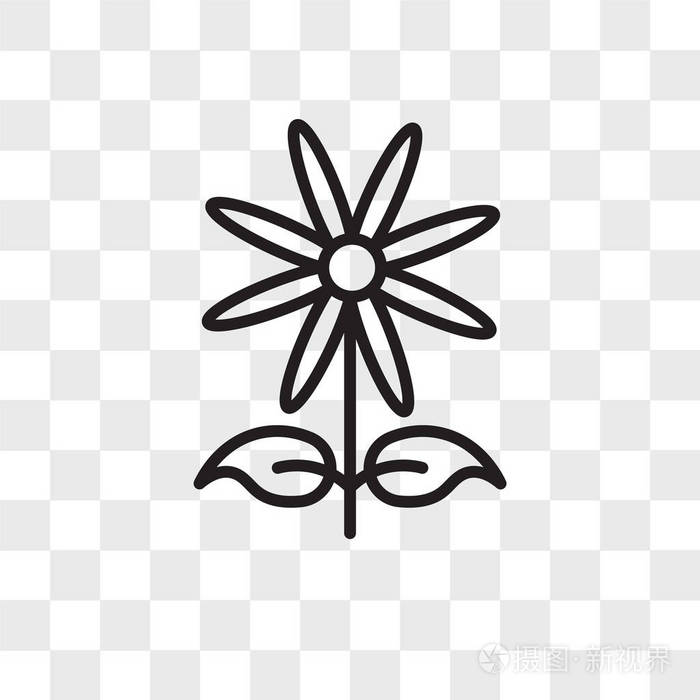 菊花矢量图标在透明背景上隔离, 雏菊徽标