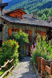老阿尔卑斯山建筑与紫色和粉色的花朵