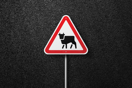 路标三角形,背面有牛的图片照片
