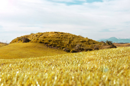 秋天的风景。黄色田野草地和蓝天