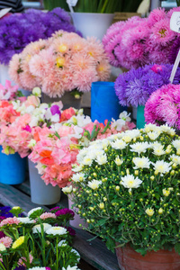 不同的秋花在中央市场出售花束与价格