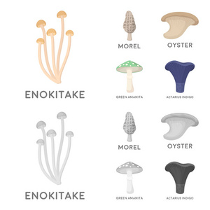 莫雷尔, 牡蛎, 绿色鹅, actarius 靛蓝。蘑菇集合图标在卡通, 单色风格矢量符号股票插画网站
