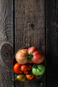 新鲜的西红柿品种不同