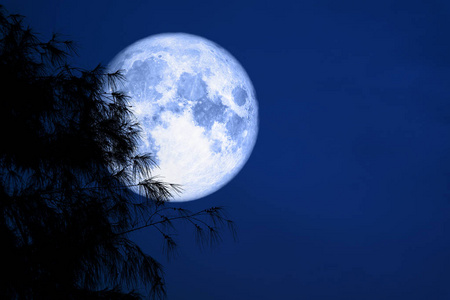 蓝色月亮背面剪影树夜红色天空, 这个图片的元素由 Nasa 装备