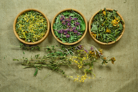 中药中草药摄影图-中药中草药图片大全-中药中草药照片-摄图新视界