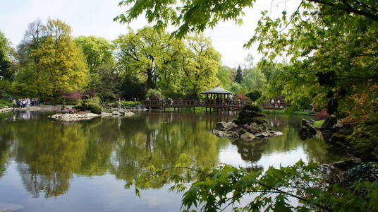 japon 风格的花园与湖泊