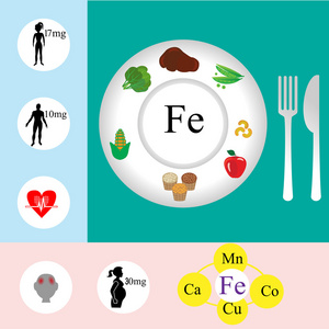 铁矿物质营养信息图表