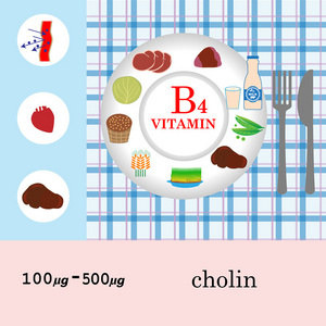 维生素 B4 营养信息图表