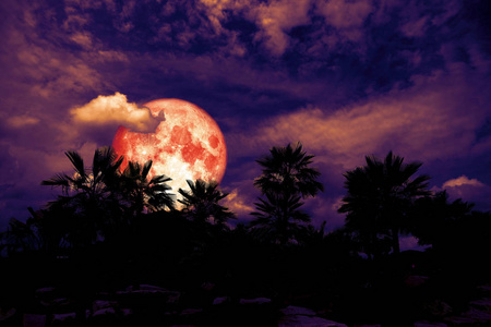 红色月亮后面剪影棕榈树在黑暗的夜堆云彩, 这个图片的元素由 Nasa 装备
