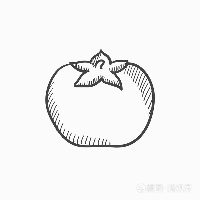 番茄素描图标