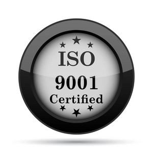 Iso9001 图标。白色背景上的互联网按钮