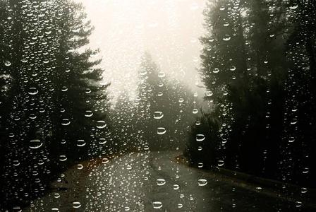 雨天的车图片