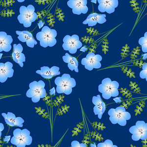 Nemophila 的蓝眼睛花在靛蓝的背景上。矢量插图