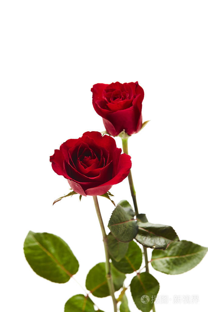 682_1023竖版 竖屏