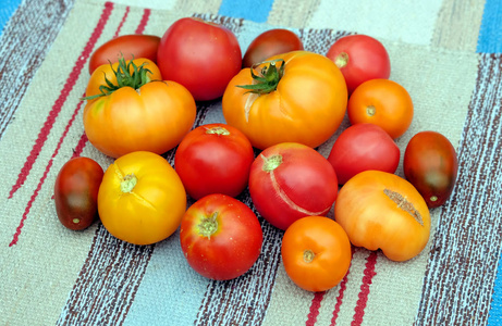 许多成熟的红色和橙色的西红柿超过 colorul 条纹织物顶部视图特写