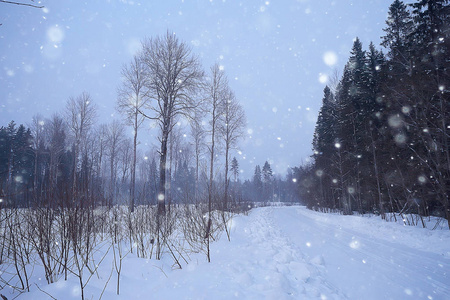 雪路沿冬天森林风景