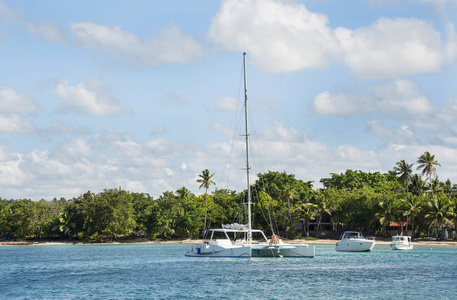 加勒比海, 绿松石水和棕榈树靠近 Saona 岛