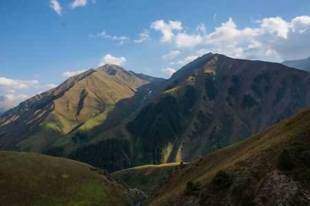 吉尔吉斯斯坦山水景观。绿草在山谷景色。山全景