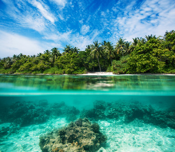 明亮的蓝色水与水下部分和水面上的绿色的小岛海岸照片
