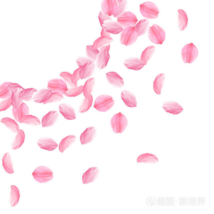 樱花花瓣落下.浪漫的粉红色明亮的大花.厚飞的樱瓣.左上角 c