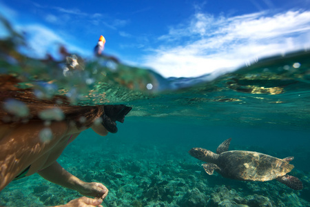 在美丽的海洋环境中水下海龟