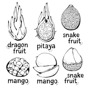 手画芒果蛇果和火龙果(火龙果)照片