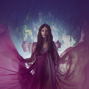 年轻漂亮的女人，在图像中的仙女，魔法的黑暗森林