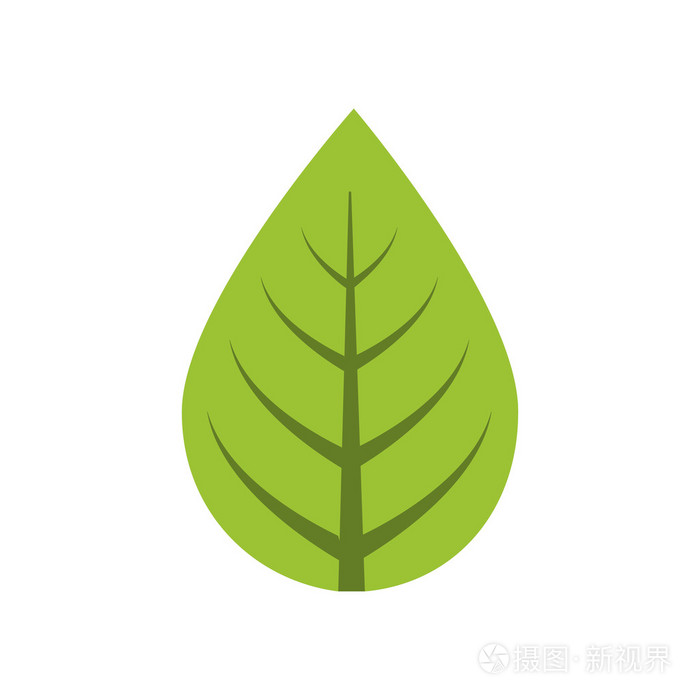 叶自然植物绿色图标.矢量图形