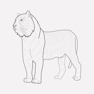 在干净的背景上为您的 web 移动应用程序徽标设计隔离的老虎图标线的