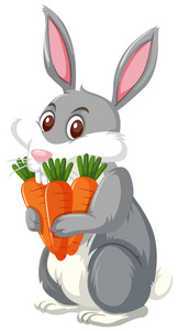 一只兔子捧着胡萝卜插图