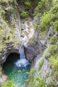 Schwangau 的瀑布和郁郁葱葱的绿叶