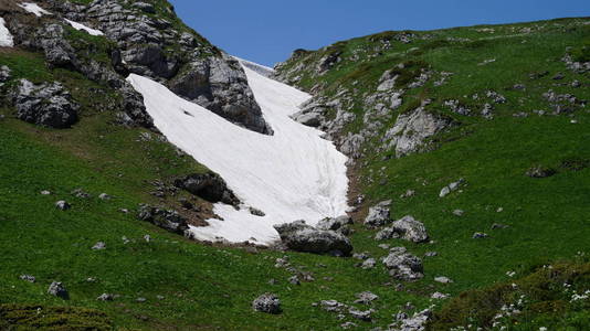 在俄罗斯 Adygea, Naki 地区的山上下雪。高加索自然保护区。06232016