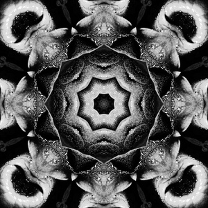 神秘的迷幻放松模式.分形抽象纹理.数码艺术品图形占星术魔术照片